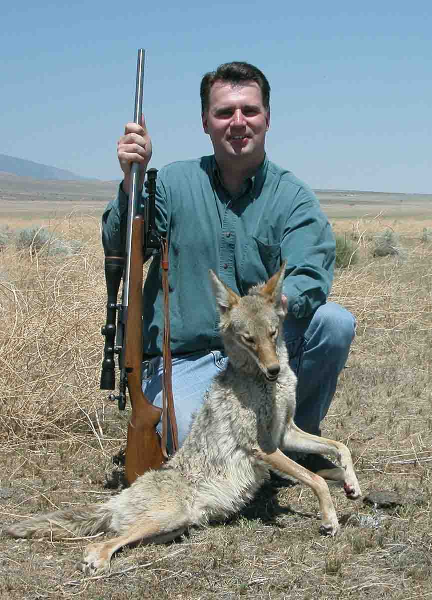 Tim Janzen shot this coyote with a 6mm Varmint Grenade handload.